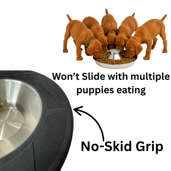 Puppy Bowl for Litters, Slow Feeding Bowl with Grip - 2 Pack - COMING SOON