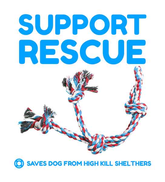 Single Rope Dog Toy (Red)