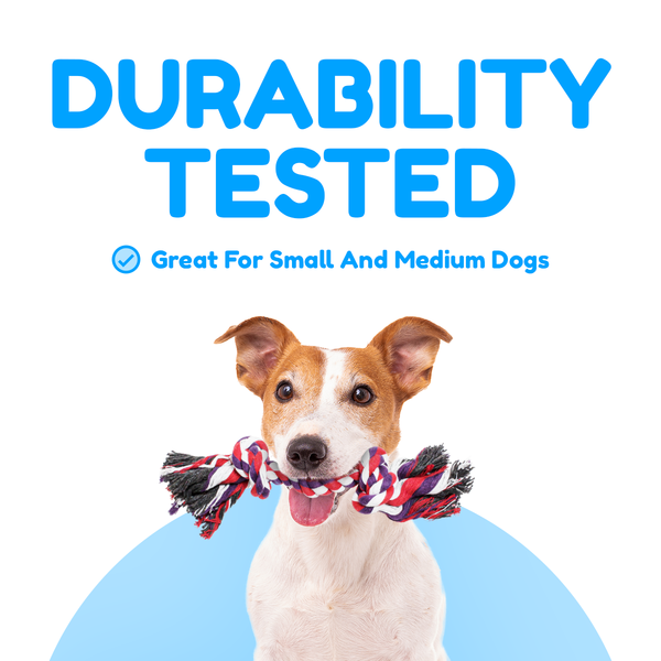 5 Piece Dog Rope Toy Set