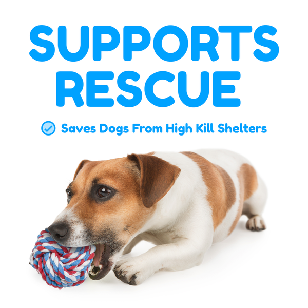 5 Piece Dog Rope Toy Set (for Small and Medium Dogs)