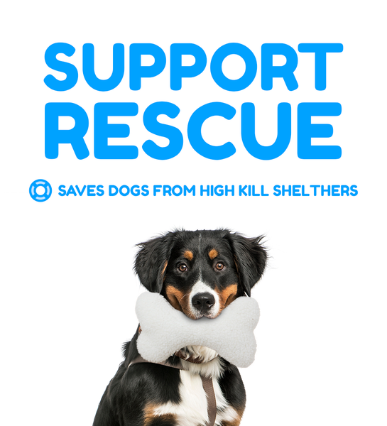 Rescue Rovers: 5 Piece Rescue Dogs & Bone Set