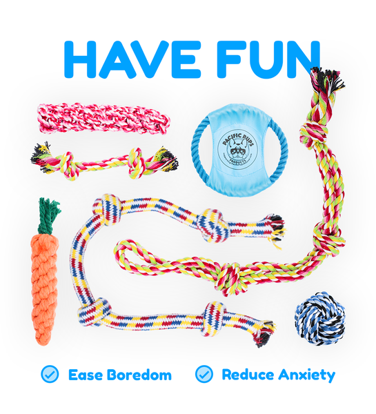 11 Piece Dog Rope Toy Set (for Small, Medium and Large Dogs)