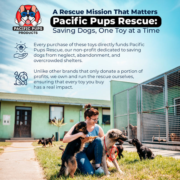11 Piece Dog Rope Toy Set (for Small, Medium and Large Dogs)