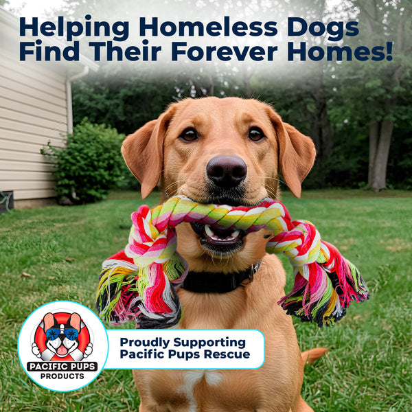 11 Piece Dog Rope Toy Set (for Small, Medium and Large Dogs)