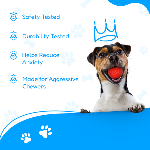 4 Piece Dog Rope and Ball Set (for Medium and Large Dogs)