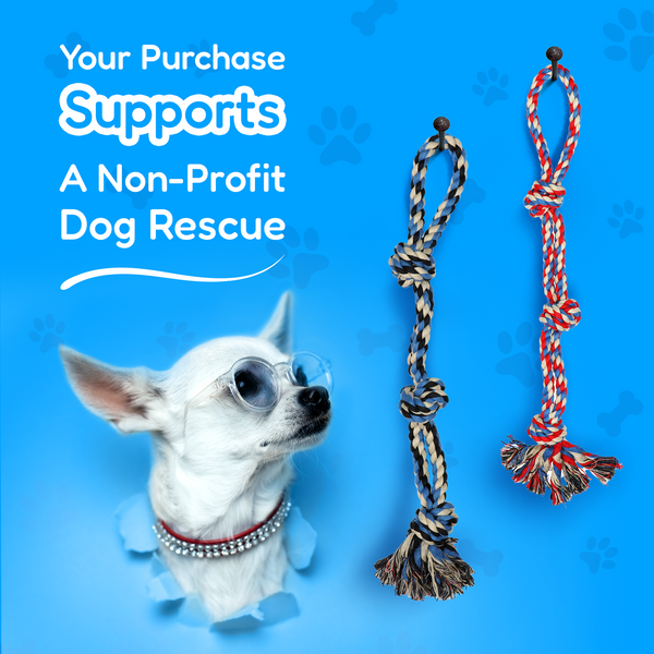 4 Piece Dog Rope and Ball Set (for Medium and Large Dogs)