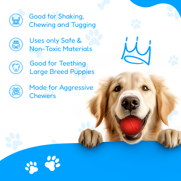 4 Piece Dog Rope and Ball Set (for Medium and Large Dogs)