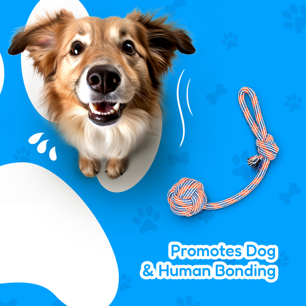 4 Piece Dog Rope and Ball Set (for Medium and Large Dogs)