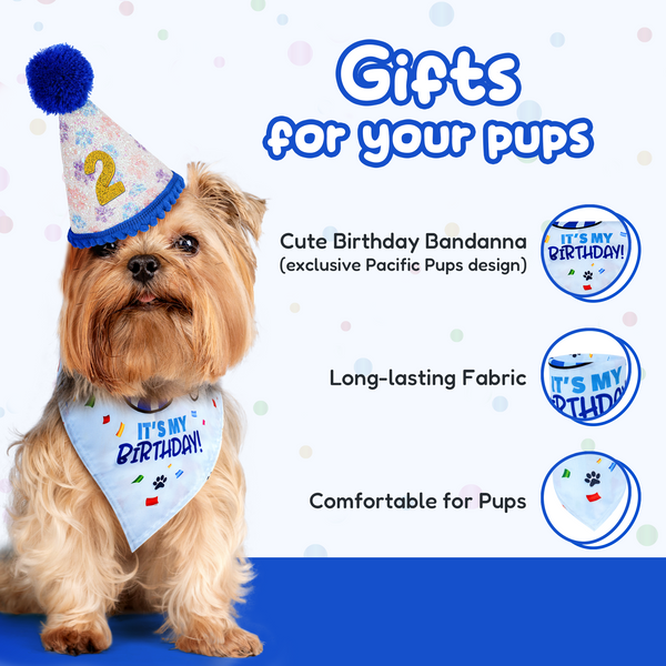 Dog Birthday Party Set - Blue Sparkly Paws