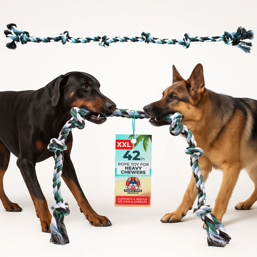 Shop durable chew toys for dogs For Heavy Chewers – Pacific Pups