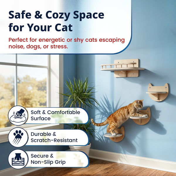 Cat Wall Steps & Shelf