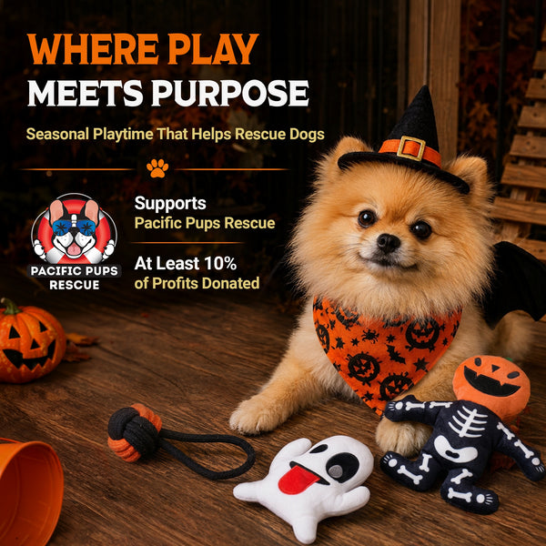 Halloween Toy Pack: Small & Medium Dogs
