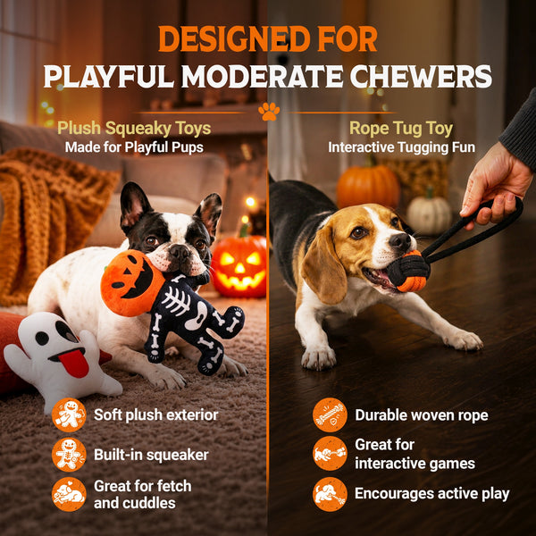 Halloween Toy Pack: Small & Medium Dogs