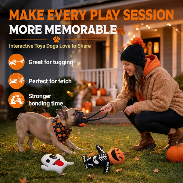 Halloween Toy Pack: Small & Medium Dogs