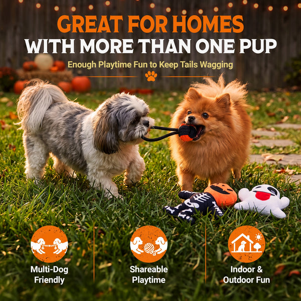 Halloween Toy Pack: Small & Medium Dogs