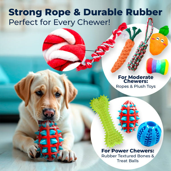18 Piece Dog Toy Set (for Small, Medium and Large Dogs)