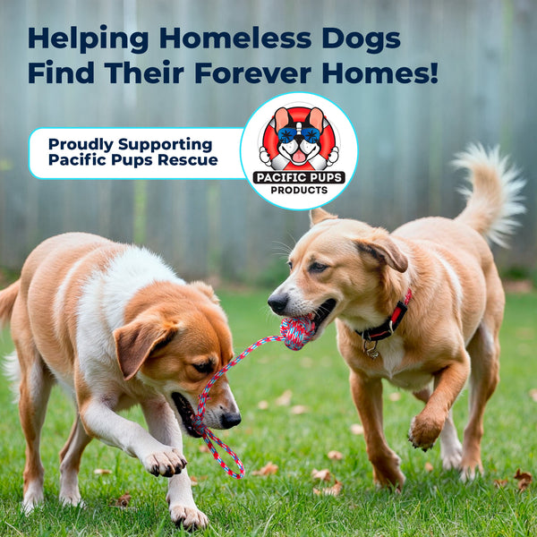 18 Piece Dog Toy Set (for Small, Medium and Large Dogs)