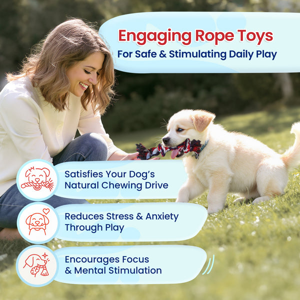 5 Piece Dog Rope Toy Set (for Small and Medium Dogs)