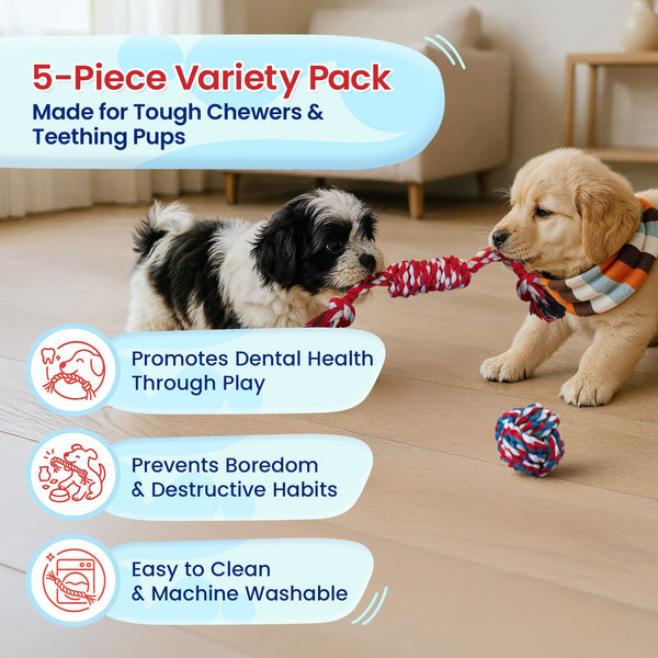 5 Piece Dog Rope Toy Set (for Small and Medium Dogs)