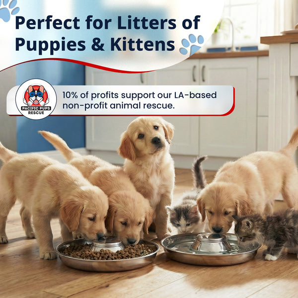 Puppy Bowl for Litters, Slow Feeding Bowl with Grip 11.8 in - 2 Pack