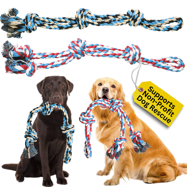 Single Rope Dog Toy (Blue)