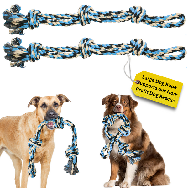 Single Rope Dog Toy (Blue)