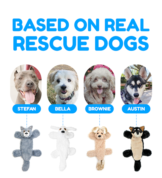 Rescue Rovers: 5 Piece Rescue Dogs & Bone Set
