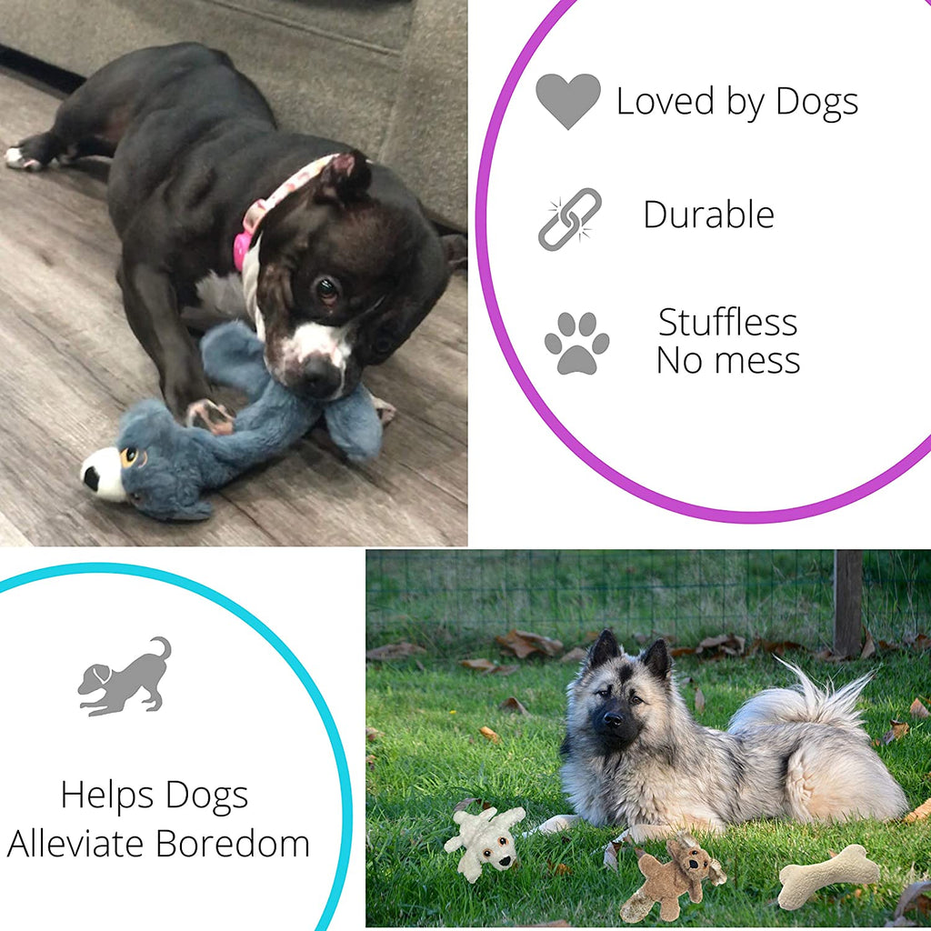 Rescue Rovers: 5 Piece Dogs Rope Toy & Bone Set – Pacific Pups Products